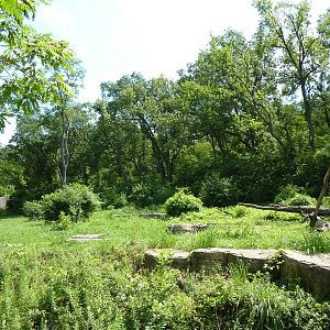3-Acre Chimpanzee Exhibit