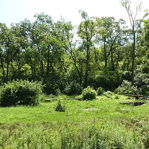 3-Acre Chimpanzee Exhibit