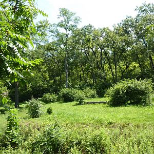 3-Acre Chimpanzee Exhibit