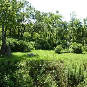 3-Acre Chimpanzee Exhibit