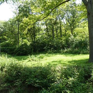 3-Acre Chimpanzee Exhibit