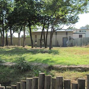 Reticulated Giraffe Exhibit