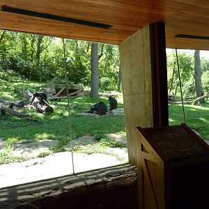 3-Acre Chimpanzee Exhibit