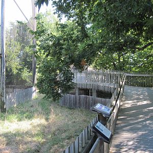 Black Bear Woods-Boardwalk, Pronghorn Exhibit, and Golden Eagle Exhibit
