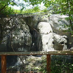 Masked Lovebird/Rock Hyrax Exhibit