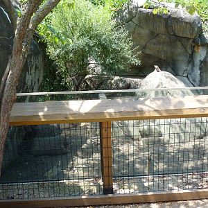Meerkat Exhibit