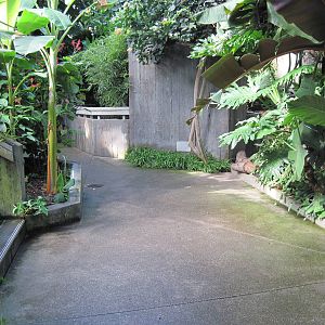 Tropical Rainforest-Path