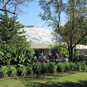 Tropical Rainforest Building