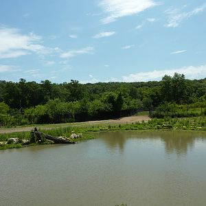 Multi-Acre African Hoofstock Exhibit