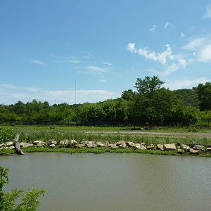 Multi-Acre African Hoofstock Exhibit