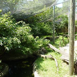 Walk-Through African Aviary
