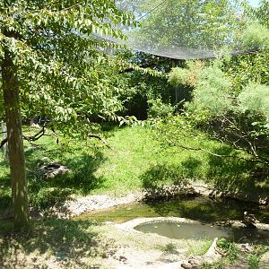 Walk-Through African Aviary