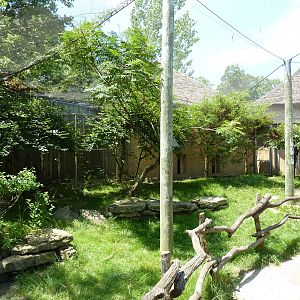 Walk-Through African Aviary