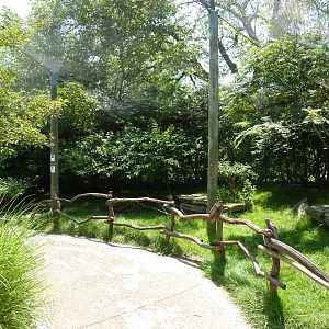Walk-Through African Aviary