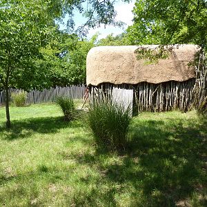 Red-Flanked Duiker Exhibit