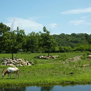Multi-Acre Hoofstock Savanna