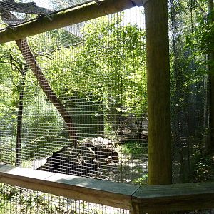 Leopard Exhibit