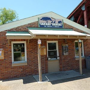 Safari Snacks Shop