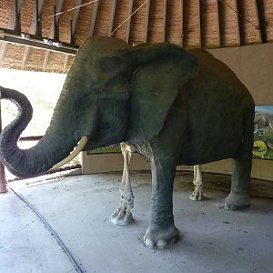 Elephant Statue