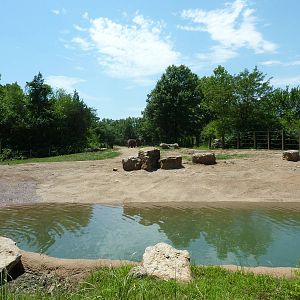 Multi-Acre African Elephant Exhibit