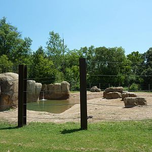 Multi-Acre African Elephant Exhibit
