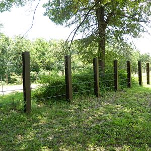 Multi-Acre African Elephant Exhibit