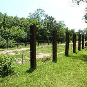 Multi-Acre African Elephant Exhibit