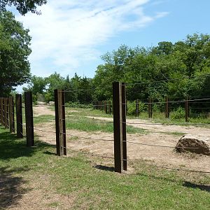 Multi-Acre African Elephant Exhibit