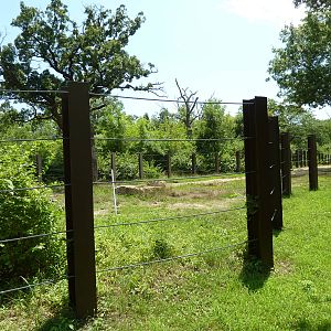 Multi-Acre African Elephant Exhibit