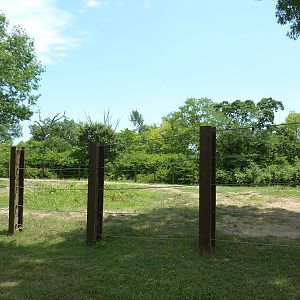Multi-Acre African Elephant Exhibit