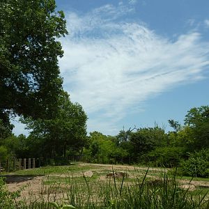 Multi-Acre African Elephant Exhibit
