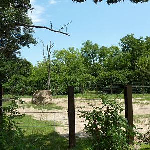 Multi-Acre African Elephant Exhibit