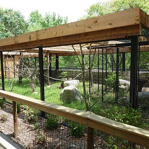 Green-Winged/Military Macaw Exhibit
