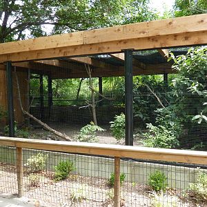 Peafowl Exhibit