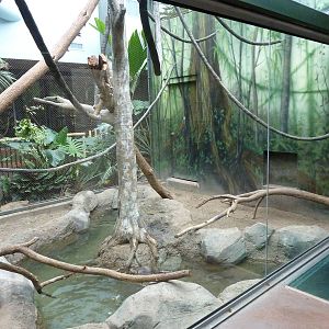 Tropics Building - White-Cheeked Gibbon/Small-Clawed Otter Exhibit