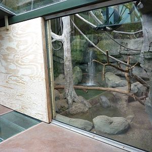Tropics Building - White-Cheeked Gibbon/Small-Clawed Otter Exhibit
