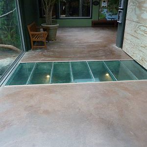 Tropics Building - White-Cheeked Gibbon/Small-Clawed Otter Exhibit