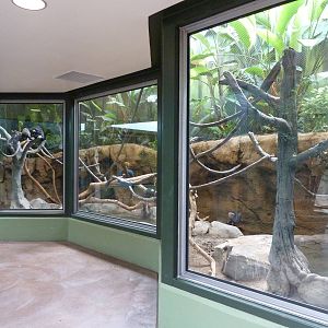 Tropics Building - Capybara/Coendou/Crested Screamer/White-Faced Saki Monke