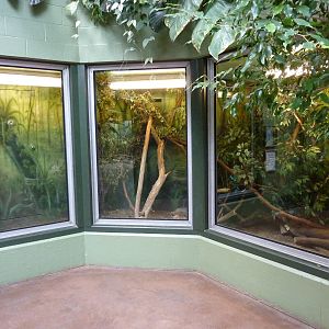 Tropics  Building - Golden Lion Tamarin Exhibit