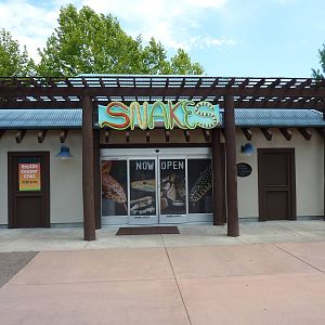 Snakes -Small Reptile House