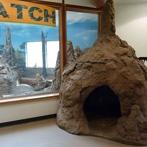 Discovery Barn - Meerkat Exhibit