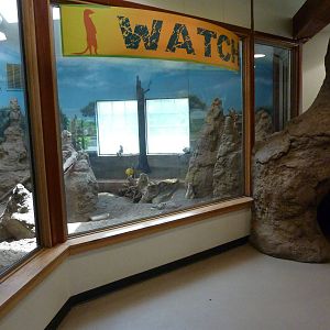 Discovery Barn - Meerkat Exhibit