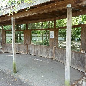 Waterfowl Pond - Viewing Windows