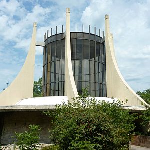 Great Ape House - Now Empty