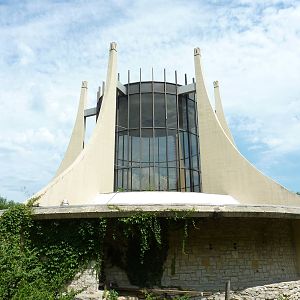 Great Ape House - Now Empty