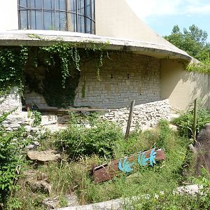 Great Ape House - Now Empty