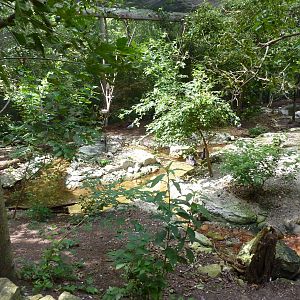 Australia - Walk-Through Aviary