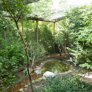 Australia - Walk-Through Aviary