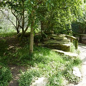 Australia - Walk-Through Aviary