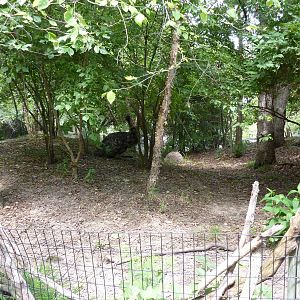 Australia - Emu Enclosure